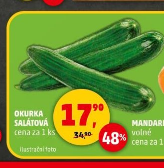 OKURKA SALÁTOVÁ