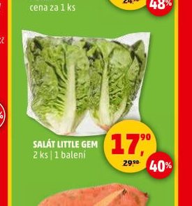 SALÁT LITTLE GEM