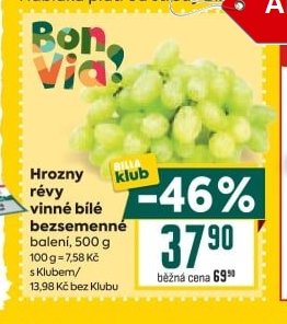 Hrozny révy vinné bílé bezsemenné