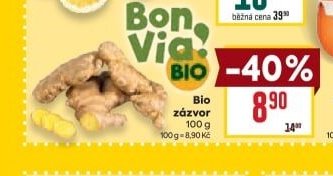 Bio zázvor