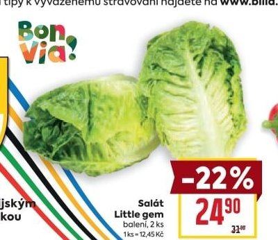 Salát Little gem