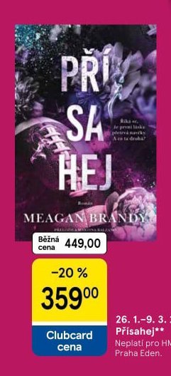 Kniha Přísahej (Meagan Brandy)