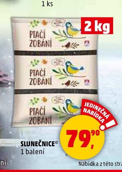 SLUNEČNICE