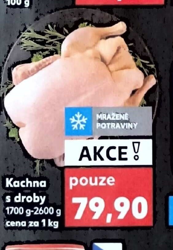 Kachna s droby