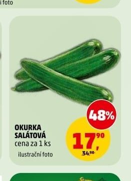 OKURKA SALÁTOVÁ
