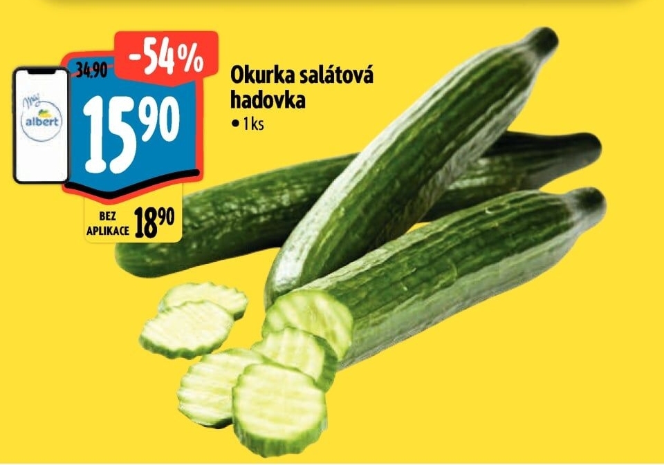 Okurka salátová - hadovka