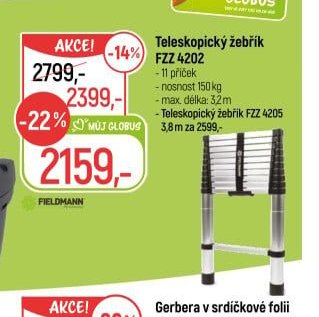 Teleskopický žebřík FZZ 4202