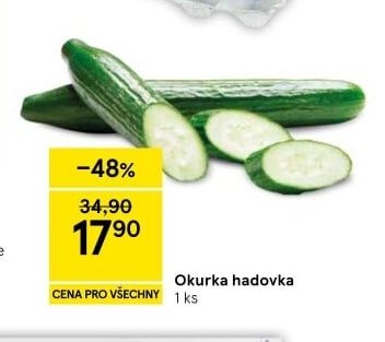 Okurka hadovka