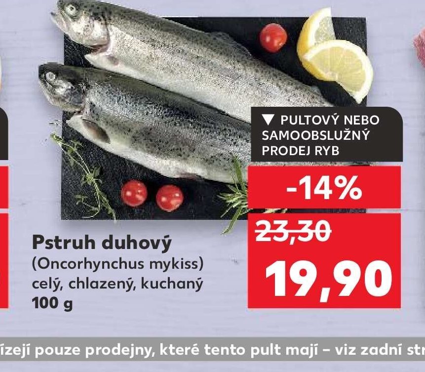 Pstruh duhový