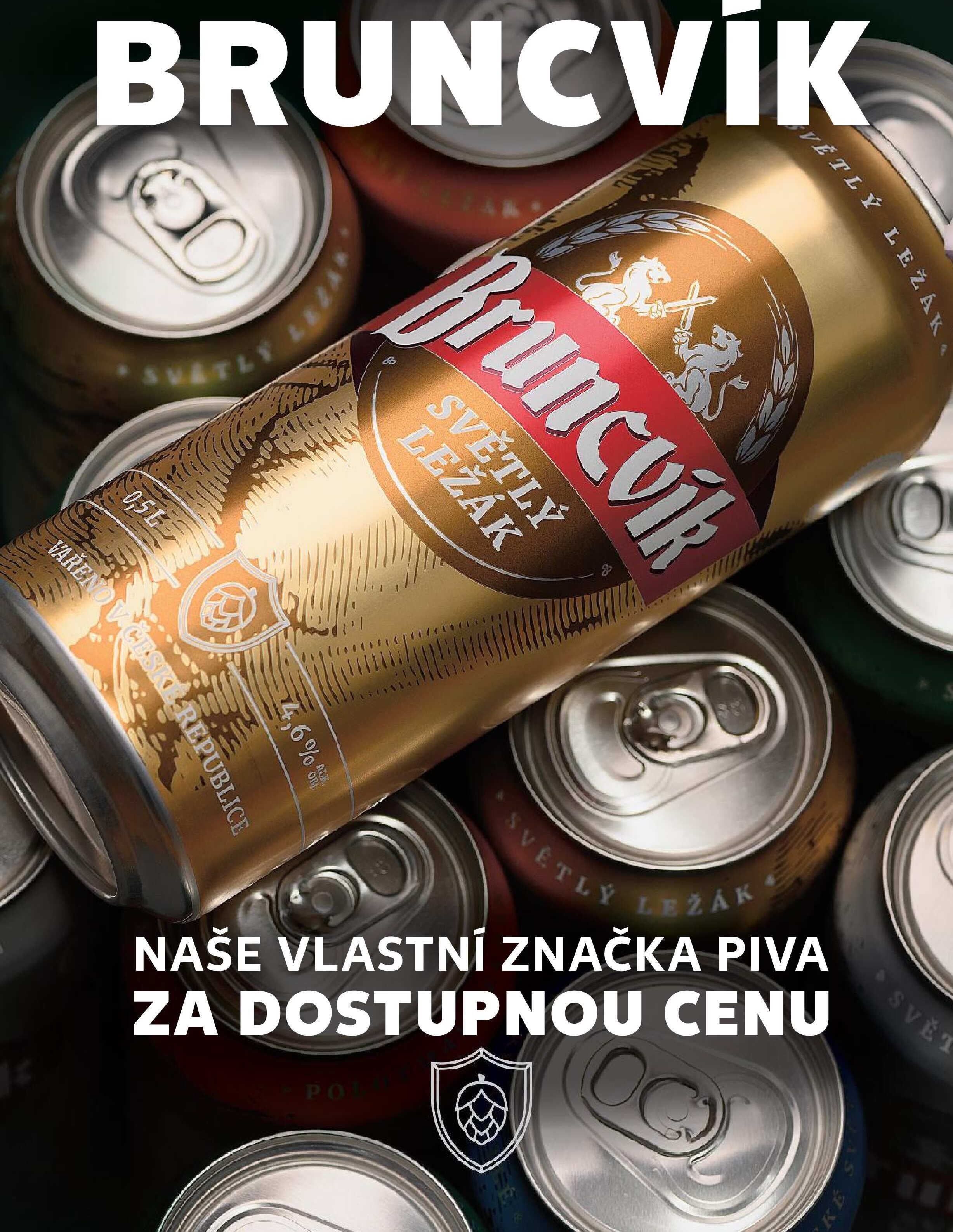 Bruncvík Světlý ležák