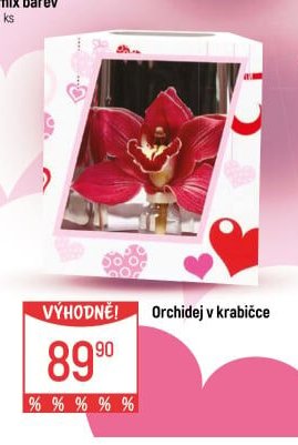 Orchidej v krabičce