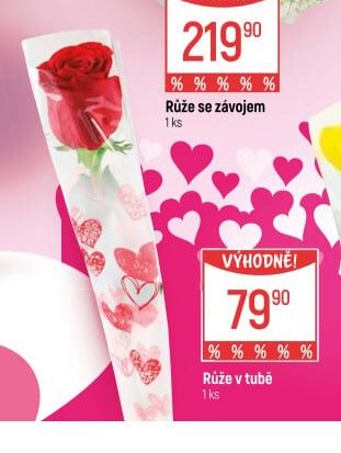 Růže v tubě