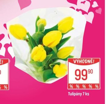 Tulipány 7 ks
