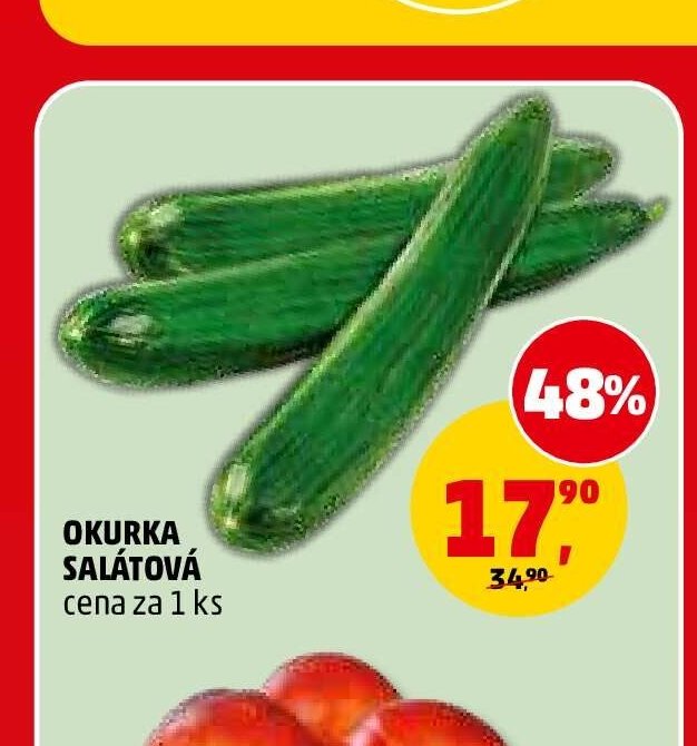 Okurka salátová