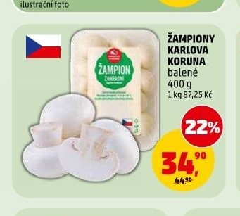 ŽAMPIONY KARLOVA KORUNA