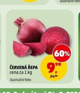 ČERVENÁ ŘEPA