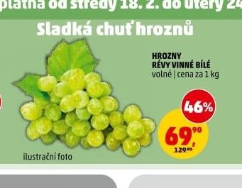 HROZNY RÉVY VINNÉ BÍLÉ
