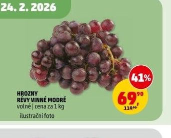 HROZNY RÉVY VINNÉ MODRÉ