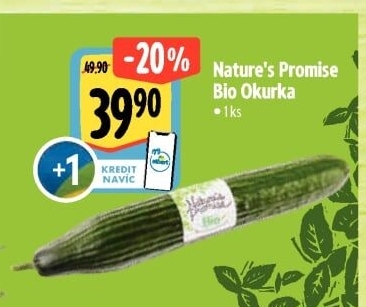 Okurka salátová - hadovka bio Nature'