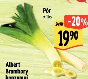 Pórek