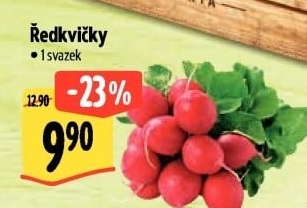 Ředkvičky svazek