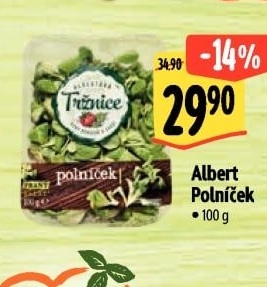Salát polníček Albert