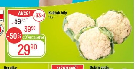 Květák bílý