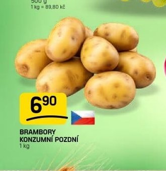 BRAMBORY KONZUMNÍ POZDNÍ