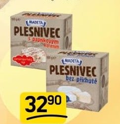 PLESNIVEC