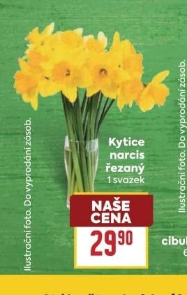 Kytice narcis