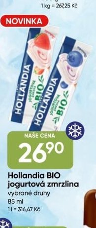 Hollandia BIO jogurtová zmrzlina