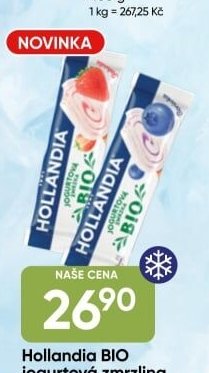 Hollandia BIO jogurtová zmrzlina