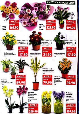 akční leták Kaufland 25.2.2026-3.3.2026