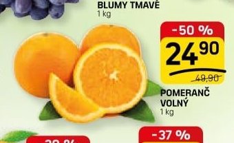POMERANČ VOLNÝ
