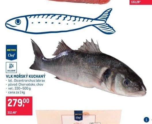 VLK MOŘSKÝ KUCHANÝ