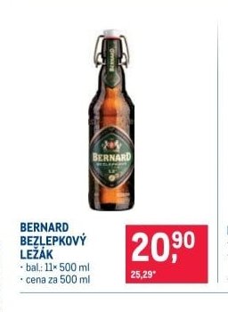 BERNARD BEZLEPKOVÝ LEŽÁK