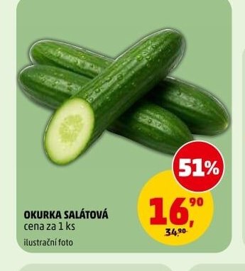 OKURKA SALÁTOVÁ