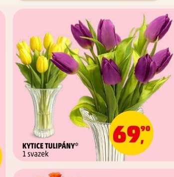 KYTICE TULIPÁNY