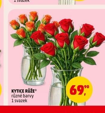 KYTICE RŮŽE