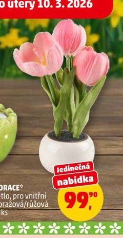 LED DEKORACE