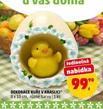 DEKORACE KUŘE V KRASLICI