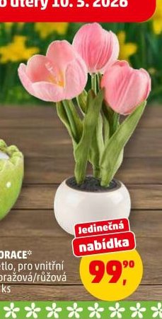 LED DEKORACE