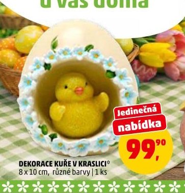 DEKORACE KUŘE V KRASLICI