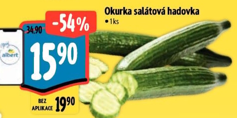 Okurka salátová - hadovka