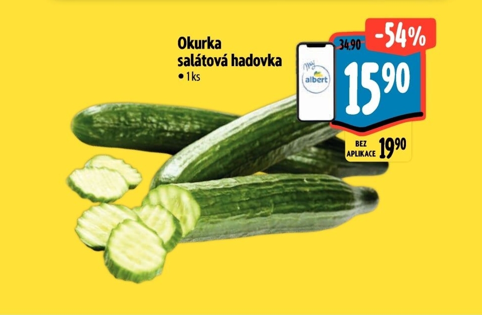 Okurka salátová - hadovka