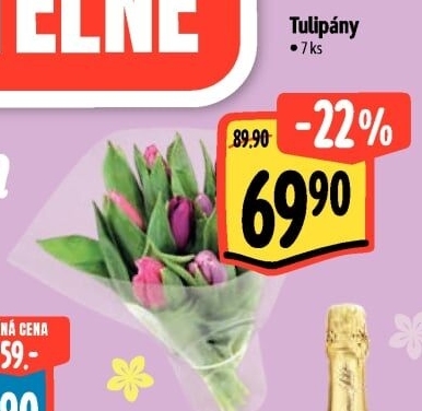 Řezané tulipány