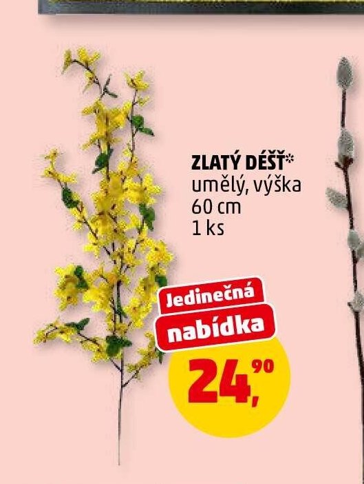 Zlatý déšť