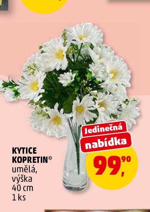 Kytice kopretin