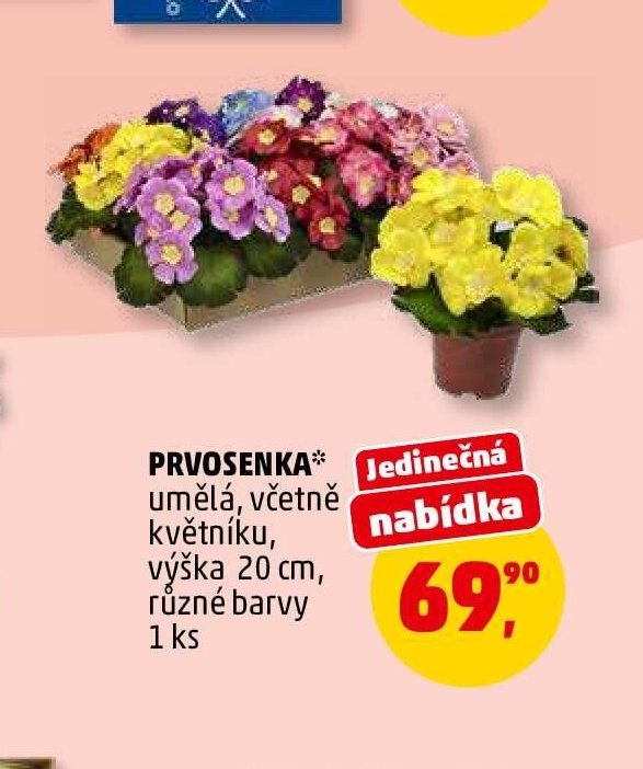 Prvosenka