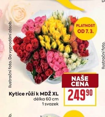 Kytice růží k MDŽ XL